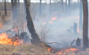 В двух районах Хабаровского края объявили режим ЧС из-за лесных пожаров