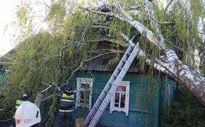 Село в Хабаровском крае осталось без электричества из-за грозы и урагана