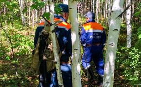 Спасатели уже неделю ищут жителя Хабаровского края, заблудившегося в лесу