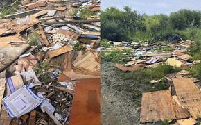В «Птичьей гавани» Иркутска обнаружена свалка строительного мусора и макулатуры