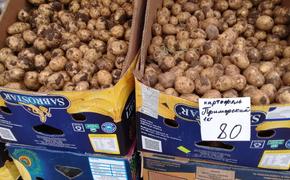 Производителей картофеля в Приморском крае поддержали краевыми грантами 