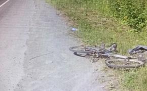 В Челябинской области водитель «Газели» насмерть сбил пожилого велосипедиста