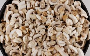 Диетолог Соломатина призвала мелко нарезать грибы перед употреблением