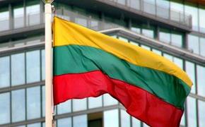 В Литве тоже предлагают лишать гражданства за поддержку России