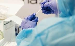 В России за сутки выявили 25 815 случаев заражения коронавирусом