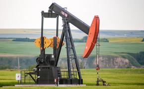 Аналитик Голубь заявил, что Запад не сможет обойтись без российской нефти