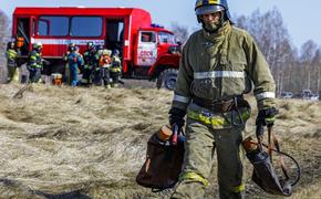 Количество пожаров уменьшилось вдвое в Челябинской области