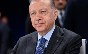 Эрдоган намерен обсудить урегулирование конфликта на Украине с Зеленским и Гутеррешем