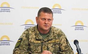 Главком ВСУ Залужный подтвердил плачевное положение украинских военных