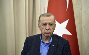 Эрдоган заявил, что Крым должен быть возвращен Украине