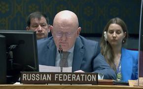 Небензя назвал ложными заявления Киева о том, что Россия использует Запорожскую АЭС в военных целях 