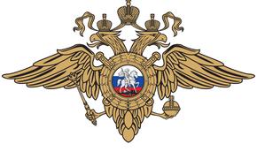 Телеграм-канал «поисковик ЗВИ»: МВД РФ обещает за информацию о командирах «Азова» денежное вознаграждение
