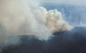 Борьбу с природными пожарами усилят в Челябинской области