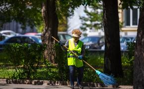 Челябинцев просят назвать район города, который качественно убирали летом