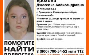 Пропавшую два дня назад в Ростовской области девочку Джессику Ерохову нашли мертвой, подозреваемый задержан