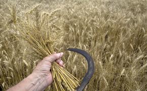 Зерновой союз просит Путина ввести квоту на экспорт зерна