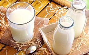 Вступили в силу новые правила выдачи молока  работникам вредных производств