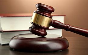 70-летнего алтайского чиновника осудили на 14 лет