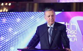 Эрдоган заявил о намерении провести с Путиным и Зеленским телефонные переговоры для обсуждения ситуации на Украине
