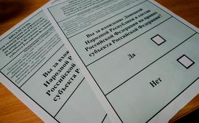 В ДНР было опубликовано фото бюллетеней для референдума о вхождении республики в состав России  
