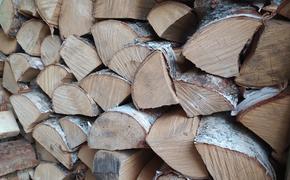 Destatis: цены на дрова в Германии выросли на 85,7% за год