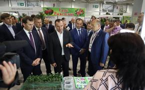 В Краснодаре проходит XII агропромышленная выставка 