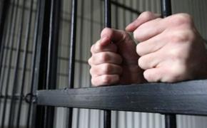 Алтайский кинднеппер осуждён на 20 лет тюрьмы