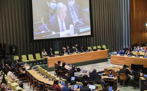 США внесли в Совет Безопасности ООН проект резолюции, осуждающей референдумы о вхождении в состав РФ