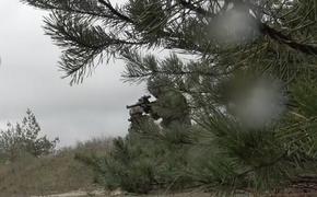 Украинская ДРГ была ликвидирована огнём российских снайперов