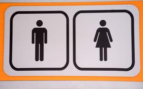 Почему латвийцы застревают в общественных туалетах Риги