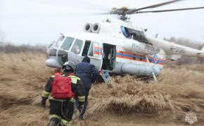 Спасатели на Ми-8 потушили пожар в 5 км от села Голубичное в Хабаровском крае