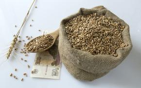 Директор ФАО Кобяков: экспорт российского зерна в бедные и нуждающиеся страны поможет купировать вспышки голода