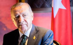 Президент Турции Эрдоган отдал приказ на проведение операции в Ираке и Сирии по возвращении с саммита G20