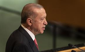 Эрдоган: Турция рассматривает возможность проведения наземной операции в Сирии и Ираке после воздушной части