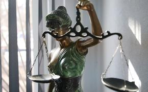 Суд приговорил сына адвоката Астахова к 3,5 годам заключения за мошенничество в крупном размере