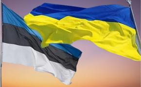 Украинским беженцам в Эстонии усложнят жизнь