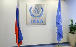 Замглавы МАГАТЭ Чудаков назвал Россию лидером в сфере развития атомной энергетики