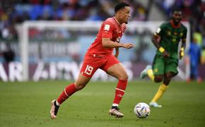 Защитники дальтоников раскритиковали матч Швейцарии и Камеруна