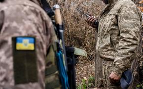 Российские войска пресекли атаку Вооруженных сил Украины на Краснолиманском направлении
