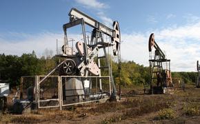 Вице-премьер Новак заявил, что страна занимает «жесткую позицию» по потолку цен на нефть со стороны Европы 