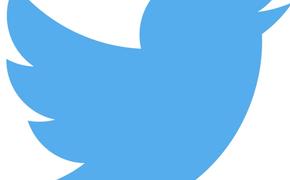 Файлы Твиттера*: «правильная» цензура по-американски