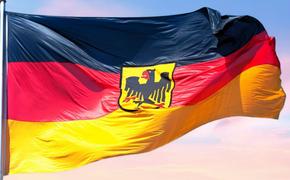 Депутат Бундестага Шмидт: «Этот госпереворот - попытка отвлечь общество от проблем в Германии»