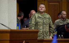 Украинский генерал Залужный: российская мобилизация сработала