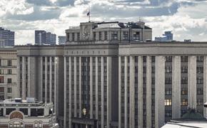 Депутат Лантратова вошла в состав рабочей группы по вопросам СВО 