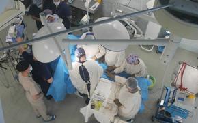 В Хабаровском крае впервые за 16 лет провели операцию по трансплантации почки