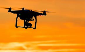Совет Федерации одобрил закон о праве ведомственной охраны сбивать беспилотные летательные аппараты