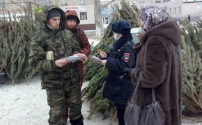 В Челябинске четыре нелегала незаконно торговали елками на перекрестке