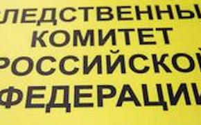 Следователи завели уголовное дело после убийства семьи из восьми человек в Макеевке