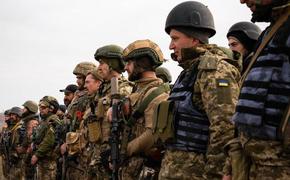 Киев завершает переформирование как минимум шести хорошо оснащённых и боеспособных, полнокровных бригад 