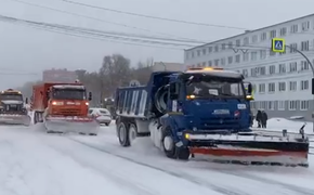 В Челябинске со снегом борются 1782 дворника и 321 машина